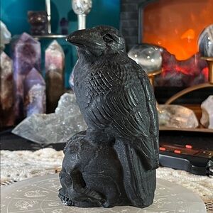 Matte obsidian raven on skull (as is)